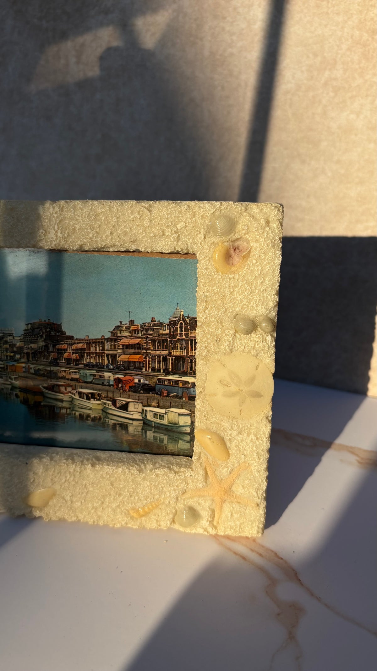 Sea Life Picture Frame by Life Echoes