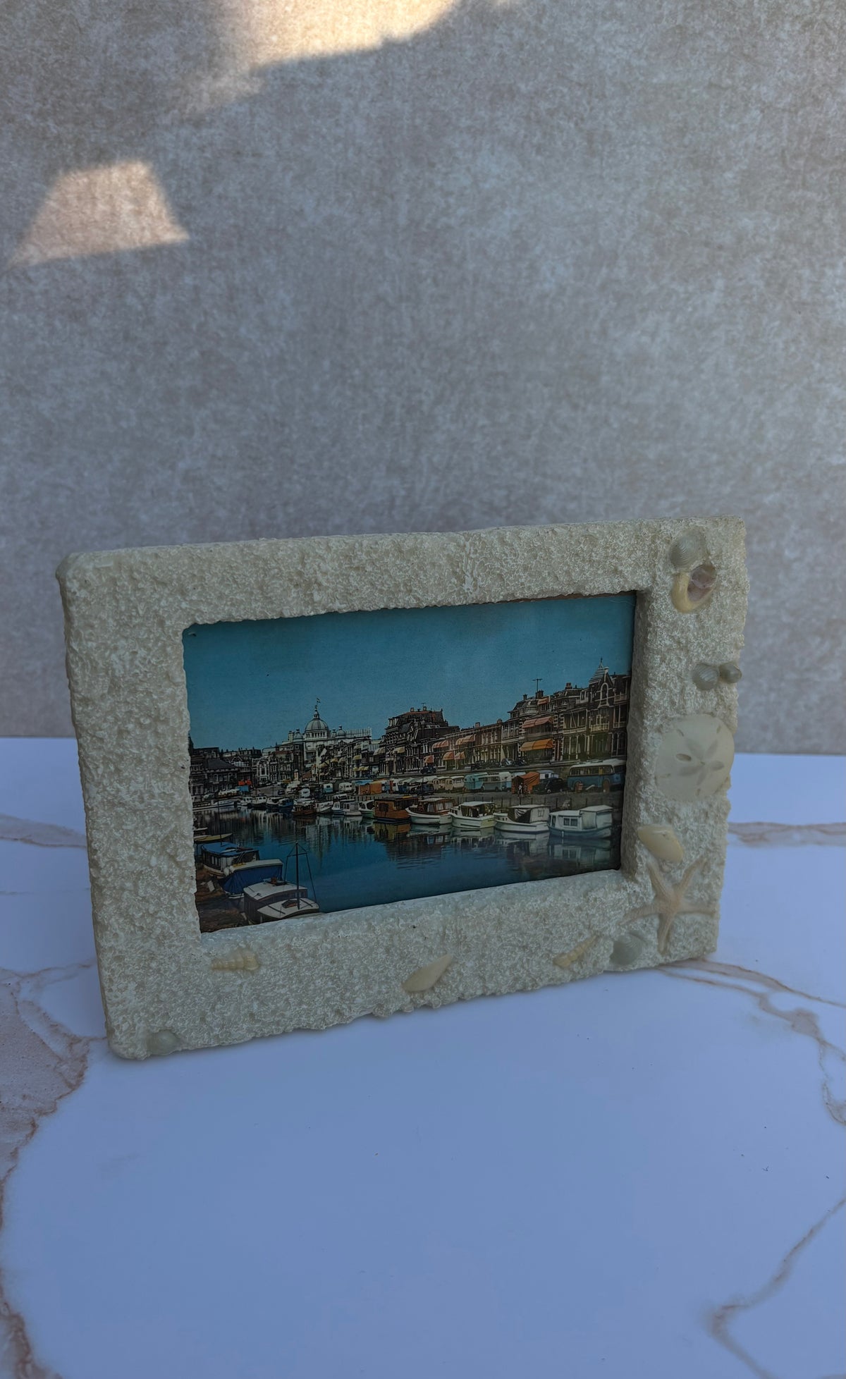 Sea Life Picture Frame by Life Echoes
