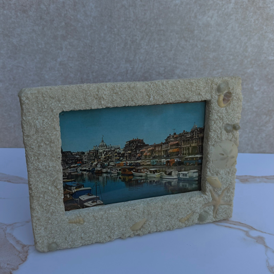 Sea Life Picture Frame by Life Echoes