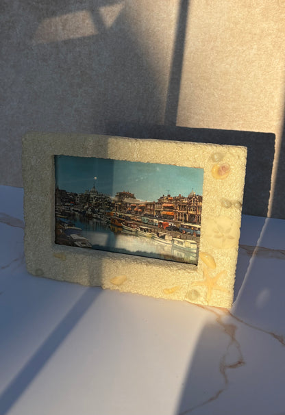 Sea Life Picture Frame by Life Echoes